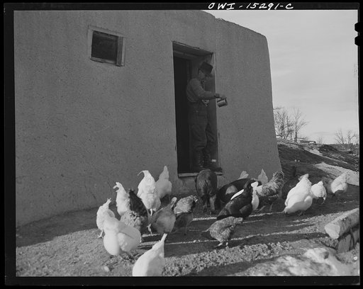 Trampas, New Mexico. The home of Juan Lopez, the majordomo (mayor) [i.e., steward], consists of four rooms, a small orchard, a store house and corrals where the wagon is stored and the cows and horses given shelter from the winter blizzards