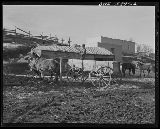Untitled photo, possibly related to: Trampas, New Mexico. Juan Lopez, the majordomo (mayor) [i.e., steward], harnessing up the teams, ready for a trip to the mountains for wood