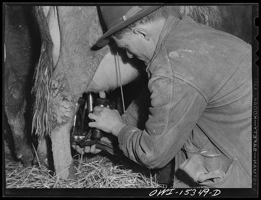 Untitled photo, possibly related to: Rio Grande, Ohio. Mr. and Mrs. Reed Hall at their new home on a 500 acre dairy farm in Gallia County, Ohio. Mr. Hall was placed on this farm after attending the farm labor training school at Rio Grande College, Ohio