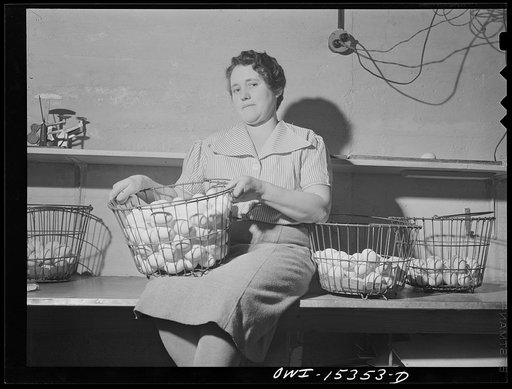 Rio Grande, Ohio. Mrs. Younkers with eggs which she grades and candles on poultry farm in Pickaway County, Ohio. The Younkers, who formerly farmed in Kentucky, were placed on this farm after Mr. Younkers attended the training school at Ohio State University