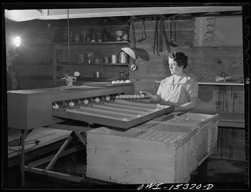Rio Grande, Gallia County, Ohio. Mrs. Younkers grading eggs. There are three boys in this family who will also help with farm work