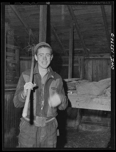 Rio Grande, Gallia County, Ohio. Robert E. Lee, formerly of Kentucky, one of three farm labor trainees who got jobs on the farm of James Uriah Dove