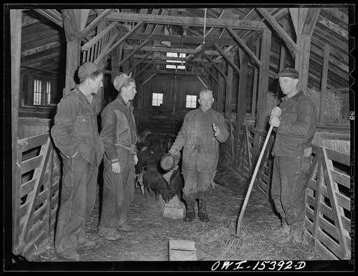 Rio Grande, Gallia County, Ohio. James Uriah Dove in the hog house, talking with his new hired men from Kentucky