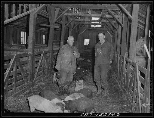 Untitled photo, possibly related to: Rio Grande, Gallia County, Ohio. James Uriah Dove talking with Jim Bolt, his hired man from Kentucky