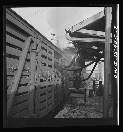 Untitled photo, possibly related to: Calumet City, Illinois. Feeding hogs at the Calumet Park stockyards. The feed is sprayed into the car through a hose