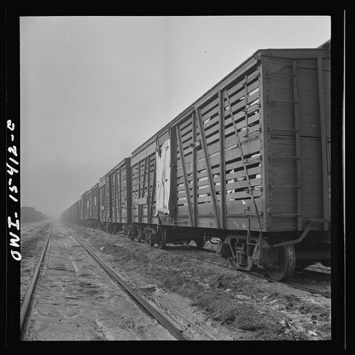 Calumet City, Illinois. A stock train at the Calumet Park stockyards