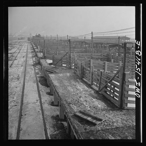Calumet City, Illinois. Calumet Park stockyards, for feeding, quartering and resting stock that is in trainsit through Chicago