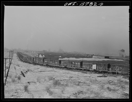 Calumet City, Illinois. A stock train at the hog watering and feeding platform at the Calumet Park stockyards