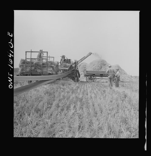 Jackson, Michigan. Threshing machine in operation