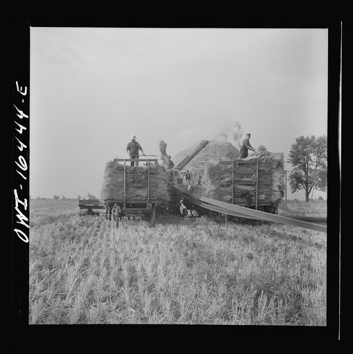 Untitled photo, possibly related to: Jackson, Michigan. Tractor which runs a threshing machine