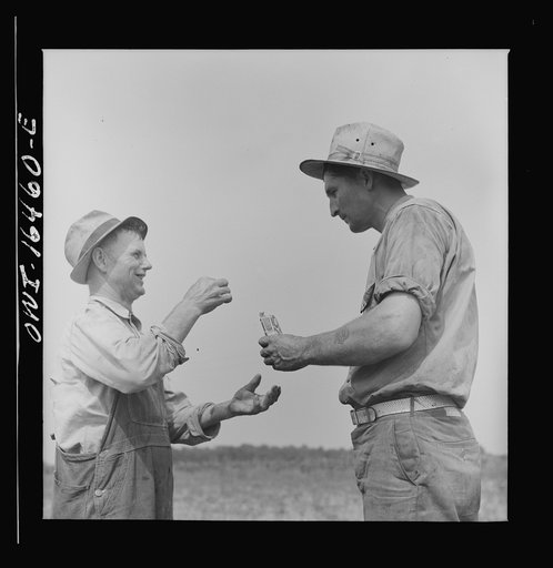 Jackson, Michigan. Farmer receiving a chaw of tobacco