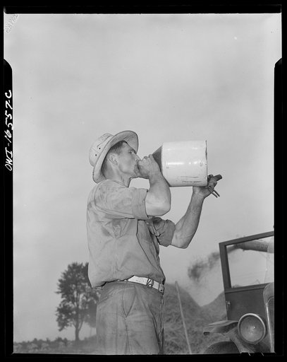 Jackson, Michigan. Farmer drinking from an earthenware jug
