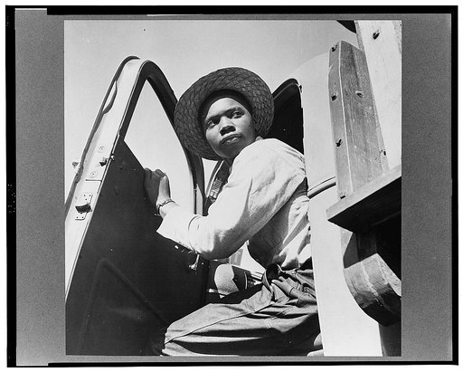 Daytona Beach, Florida. Bethune-Cookman College. Student farm worker