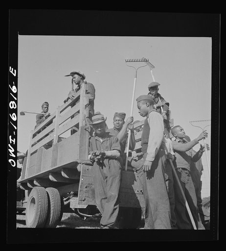 Daytona Beach, Florida. Bethune-Cookman College. Students waiting to be taken to the agricultural school farm where they will learn modern methods
