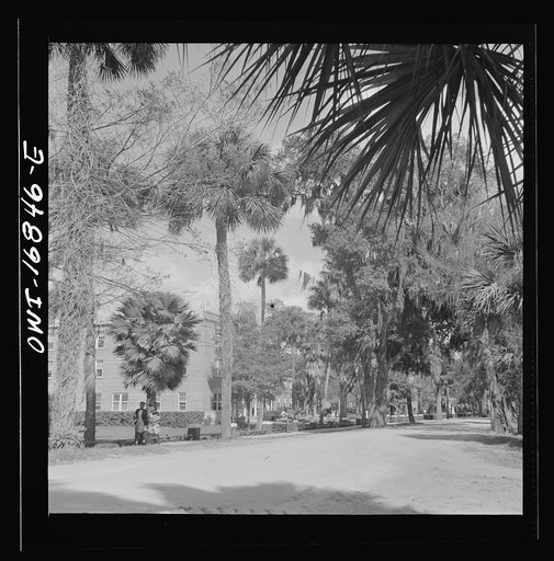 Daytona Beach, Florida. A street which runs through the campus of Bethune-Cookman College