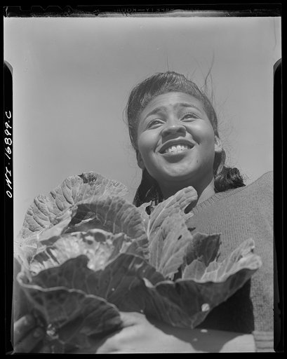 Daytona Beach, Florida. Bethune-Cookman College. Student who is enrolled in the agricultural school