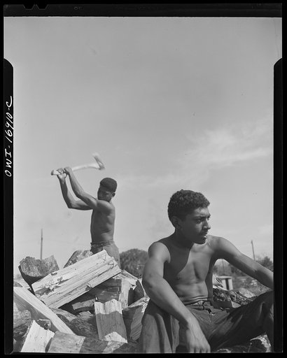 Daytona Beach, Florida. Students at Bethune-Cookman College, chopping and piling wood for thirty-five cents per hour