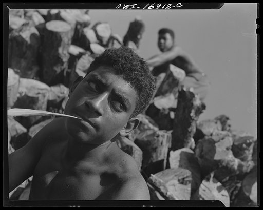 Daytona Beach, Florida. Bethune-Cookman College. Students chopping and piling wood for thirty-five cents an hour