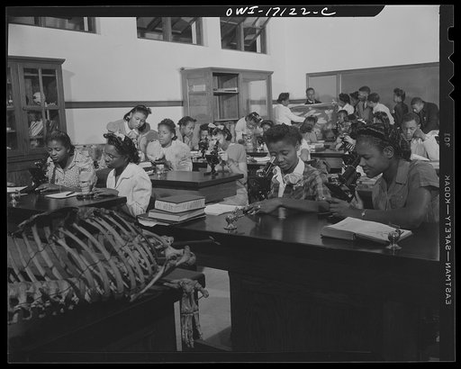 Daytona Beach, Florida. Bethune-Cookman College. Biology class