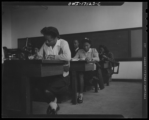 Untitled photo, possibly related to: Daytona Beach, Florida. Bethune-Cookman College. Biology class
