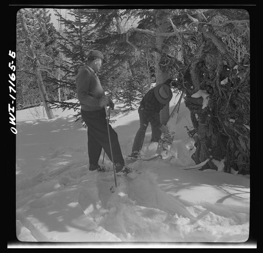 United States forest rangers prospecting for drinking water in the mountains above Penasco, New Mexico