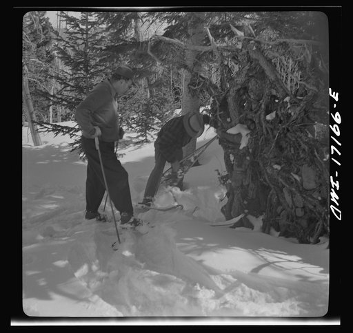 Untitled photo, possibly related to: United States forest rangers prospecting for drinking water in the mountains above Penasco, New Mexico
