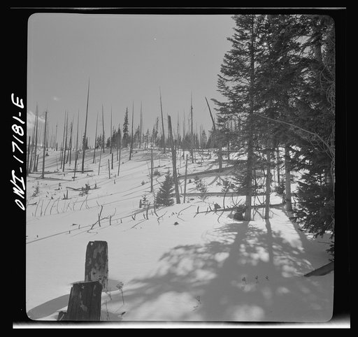 Winter in the Sangre de Cristo Mountains, near Penasco, New Mexico