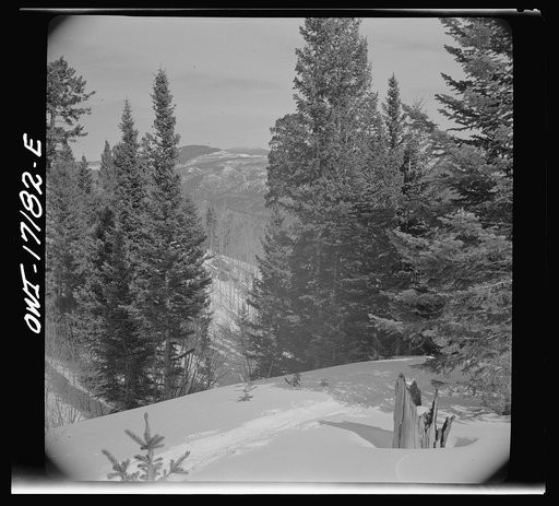 Winter in the Sangre de Cristo Mountains above Penasco, New Mexico