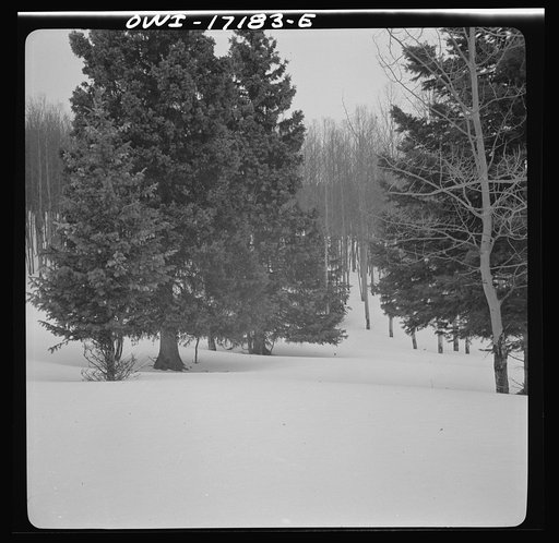 Untitled photo, possibly related to: Winter in the Sangre de Cristo Mountains above Penasco, New Mexico