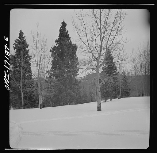 Untitled photo, possibly related to: Winter in the Sangre de Cristo Mountains above Penasco, New Mexico