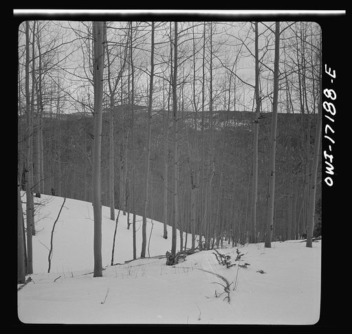 Untitled photo, possibly related to: Winter in the Sangre de Cristo Mountains above Penasco, New Mexico