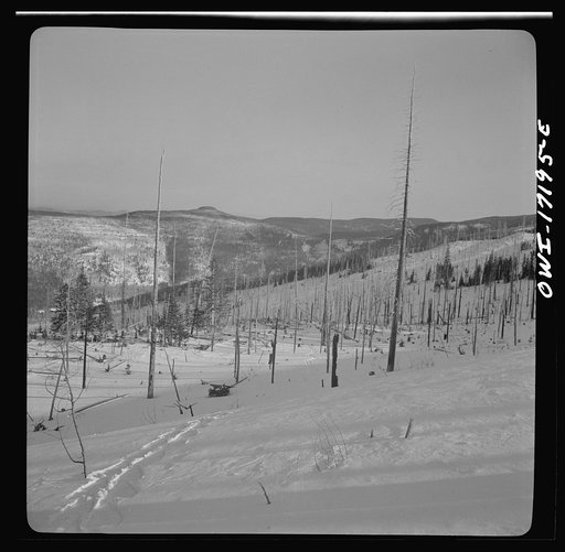 Winter in the Sangre de Cristo Mountains above Penasco, New Mexico
