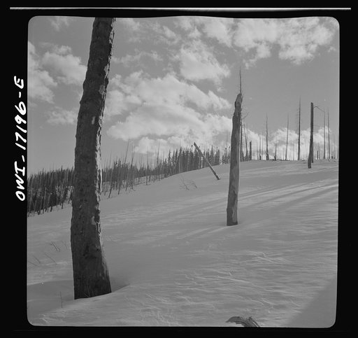 Winter in the Sangre de Cristo Mountains above Penasco, New Mexico