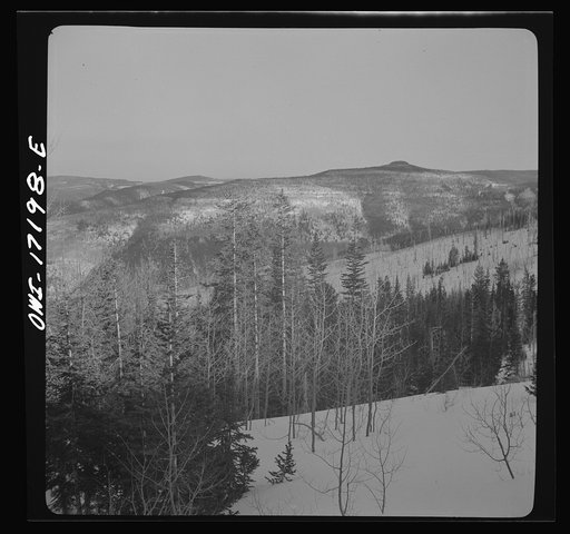 Untitled photo, possibly related to: Winter in the Sangre de Cristo Mountains above Penasco, New Mexico