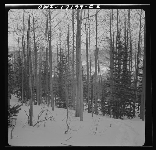 Winter in the Sangre de Cristo Mountains above Penasco, New Mexico