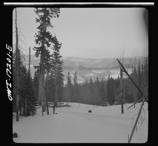 Winter in the Sangre de Cristo Mountains above Penasco, New Mexico
