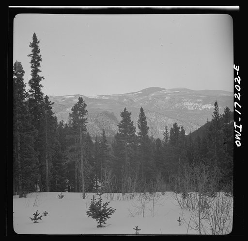 Winter in the Sangre de Cristo Mountains above Penasco, New Mexico