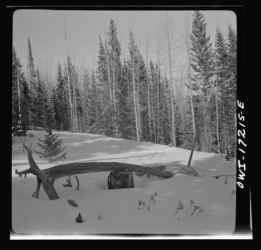 Untitled photo, possibly related to: Penasco (vicinity), Taos County, New Mexico. Valley of Penasco