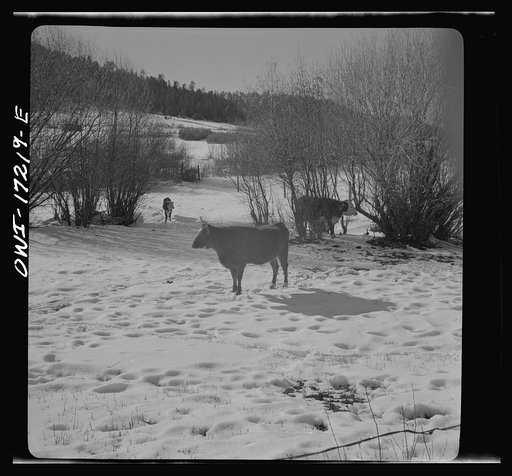 Penasco (vicinity), Taos County, New Mexico. Valley of Penasco