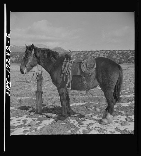 Untitled photo, possibly related to: Taos County, New Mexico. Penasco Valley