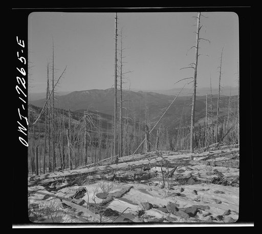 Untitled photo, possibly related to: Winter on the Sangre de Cristo Mountains above Penasco, New Mexico
