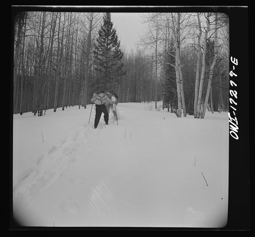 Untitled photo, possibly related to: Rangers going to measure snow on the Sangre de Cristo Mountains above Penasco, New Mexico