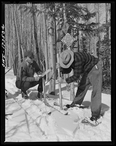 Penasco (vicinity), New Mexico. U.S. Forest Rangers on snow shoes and skiis going into the Sangre de Cristo Mountains to measure the snow