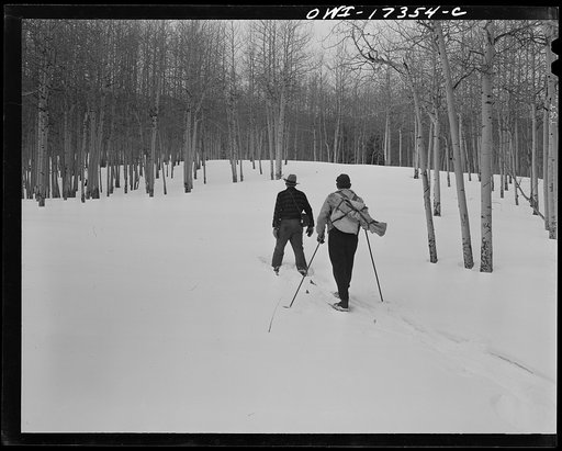 Penasco (vicinity), New Mexico. U.S. Forest Rangers on snow shoes and skiis going into the Sangre de Cristo Mountains to measure the snow