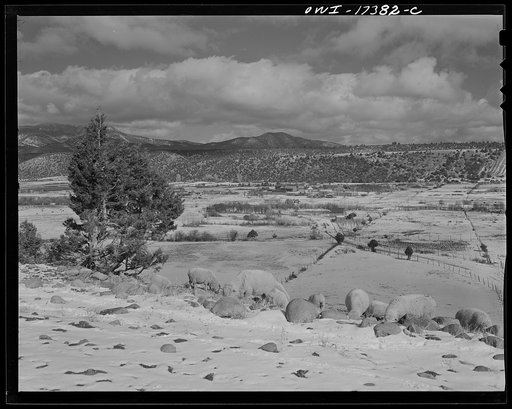 Valley of Penasco, looking down on Rodarte, New Mexico