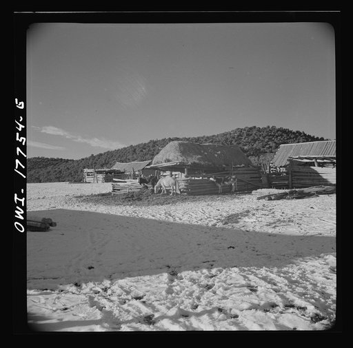Trampas, New Mexico