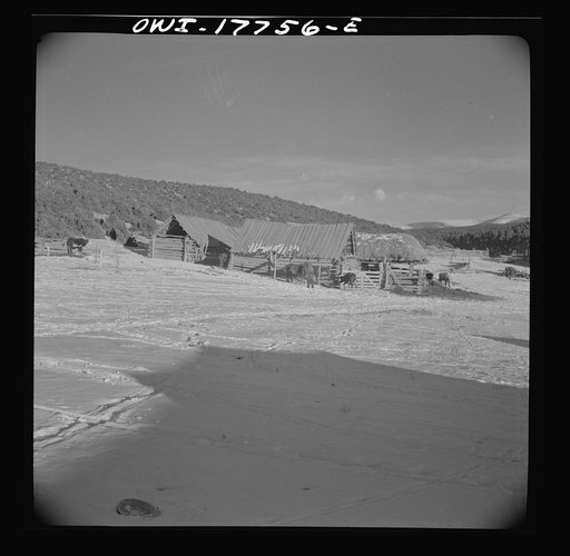 Trampas, Taos County, New Mexico. A Spanish-American village in the foothills of the Sangre de Cristo Mountains. Each house has its corral built of aspen and pine cut from the mountains above the village