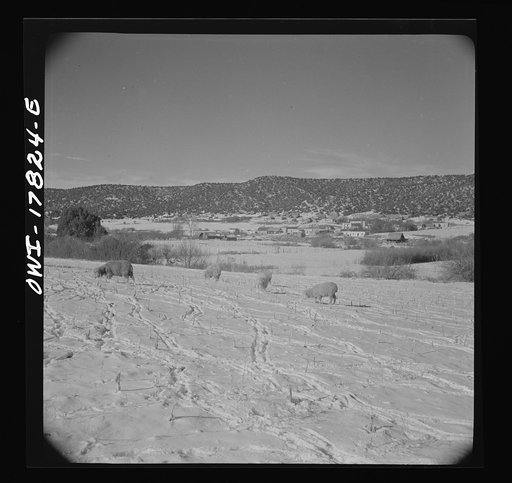 Trampas, Taos County, New Mexico. A Spanish-American village in the foothills of the Sangre de Cristo Mountains. Farmlands