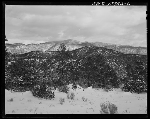 Winter in the Sangre de Cristo Mountains above Penasco, New Mexico