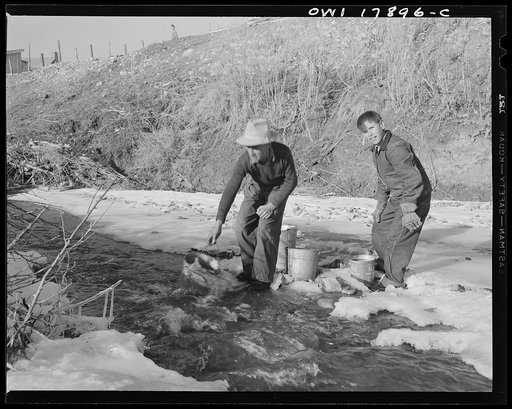 Untitled photo, possibly related to: Trampas, New Mexico. Water being drawn from the river, a quarter of a mile away, for use in the household of Juan Lopez, majordomo (mayor) [i.e., steward